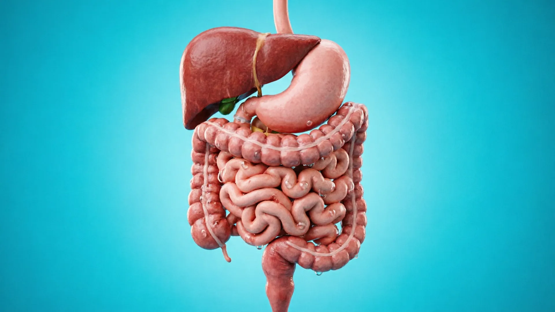 Obstruksi Usus Tinggi, Rendah, dan Gastrointestinal