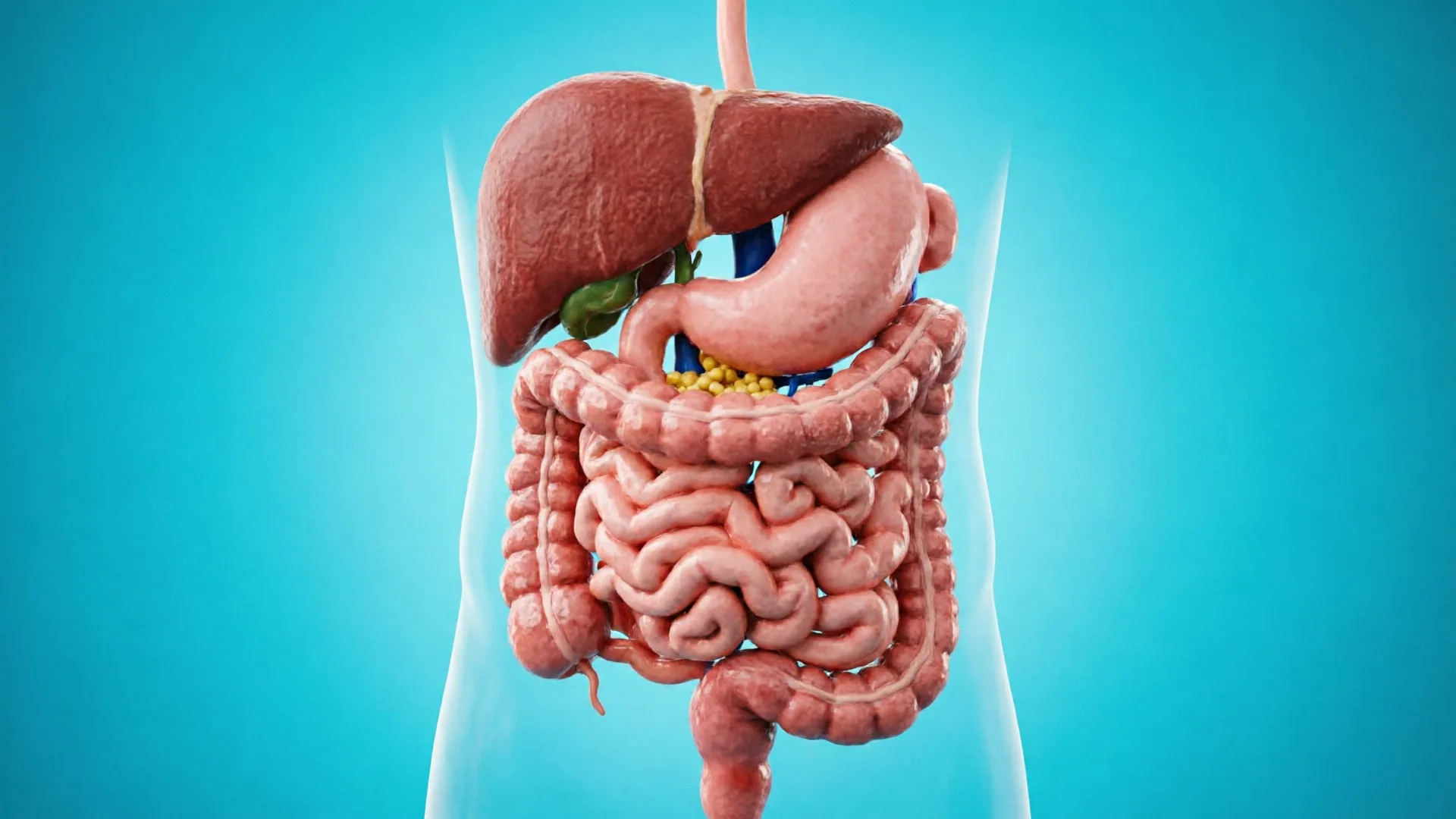 Akut Abdomen serta Penyakit Digestif