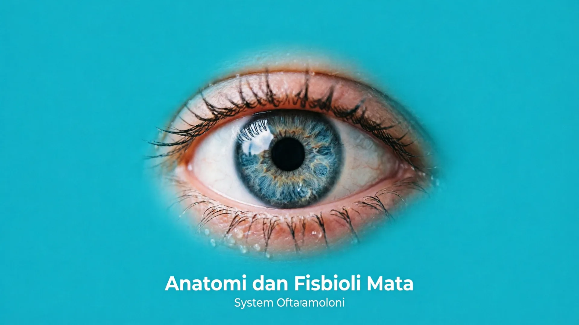 Anatomi dan Fisiologi Mata