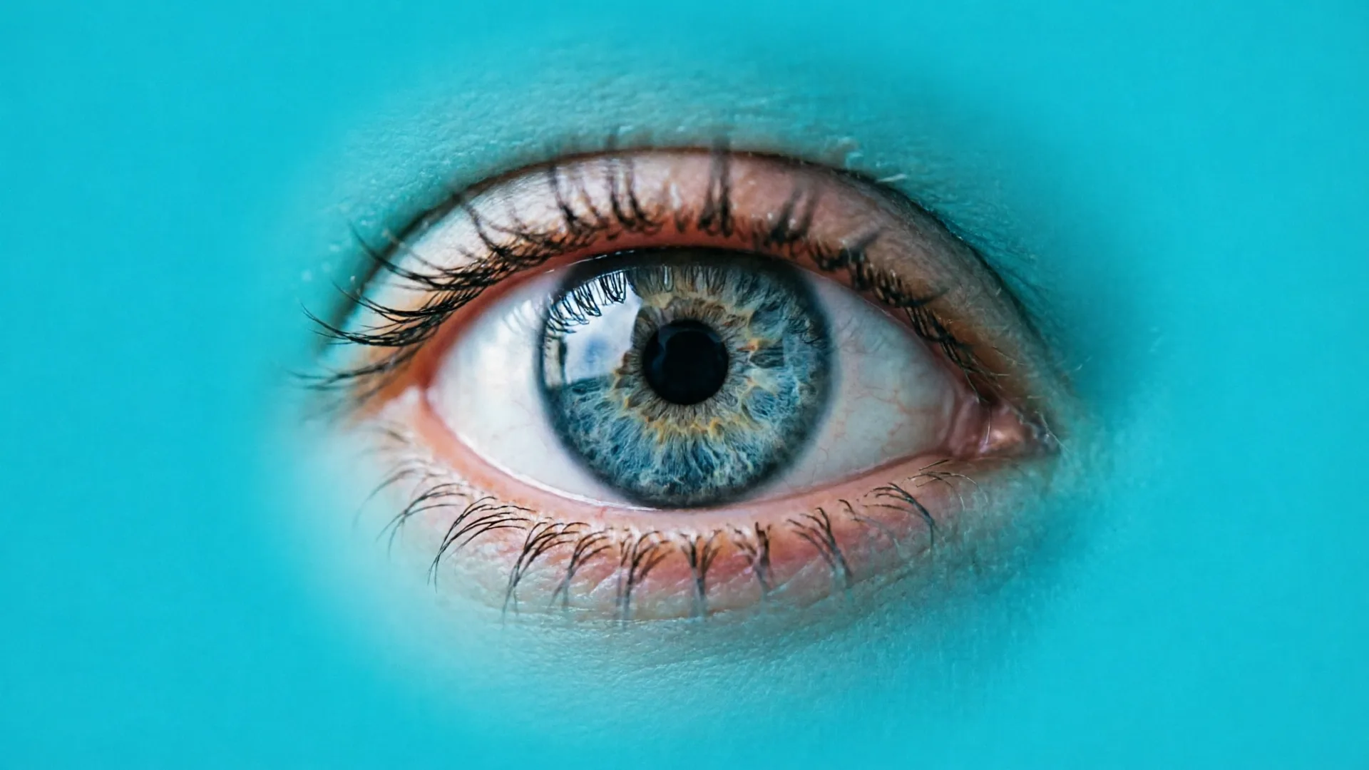 Gangguan Penglihatan Malam dan Mata Kering – Buta Senja, Dry Eye, dan Xerophthalmia