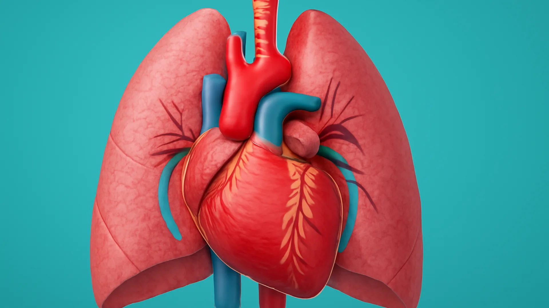 Tabel: Hipertensi Pulmonal WHO