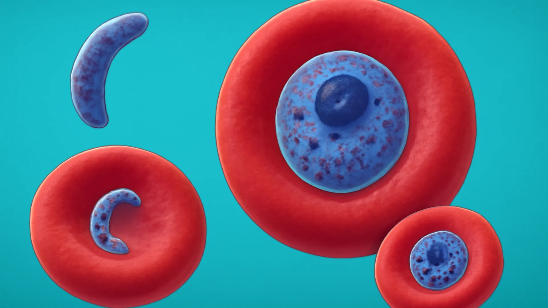 Tabel: Malaria Spesies